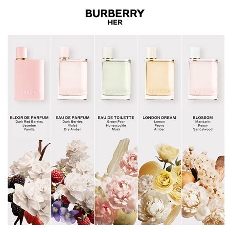 her burberry perfume notes